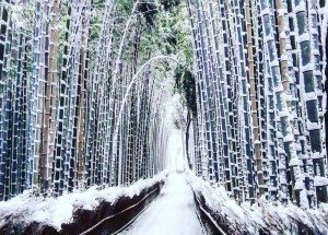 Kyoto-Japan-Snow-Winter-3
