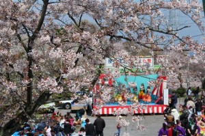 満開の桜とさくら祭り